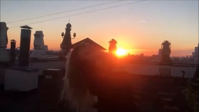 Девушка на неделю Лиза Пескова смотреть онлайн