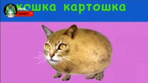 Мышка Сосиска Собачка Жвачка Кошка Картошка Ку Ку Я Немношко