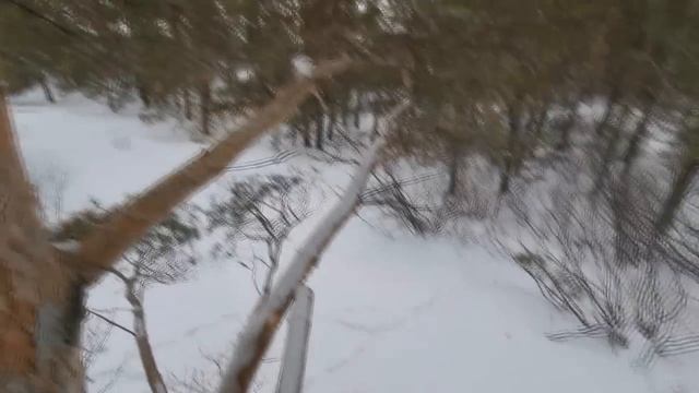 ДИКИЕ КАБАНЫ НАСТУПАЮТ смотреть онлайн