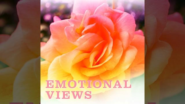 Lovely Moments смотреть онлайн