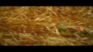 Песня Вольная. Исполняет В. Бирюкова. Слова и музыка Т. Маруговой.