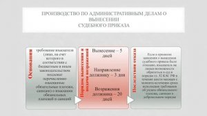 Елена Смагина   Лекция об особенностях правоприменения КАС
