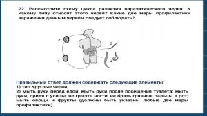 Белан Н.А. - Биология