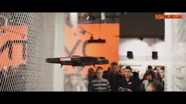 Открытие Мега Цитруса в ТРЦ Лавина! смотреть онлайн