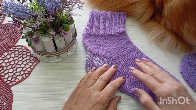 СП"Носочки с Таней-2025".Апрель смотреть онлайн