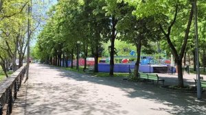 2025.04.29. Природа и Город. Весна, конец апреля в Краснодаре. Деревья, растения, цветы, кусты