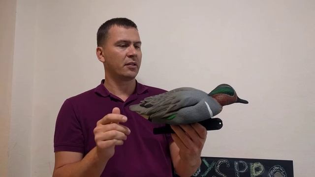 #Avian-X #green #teal чирки смотреть онлайн