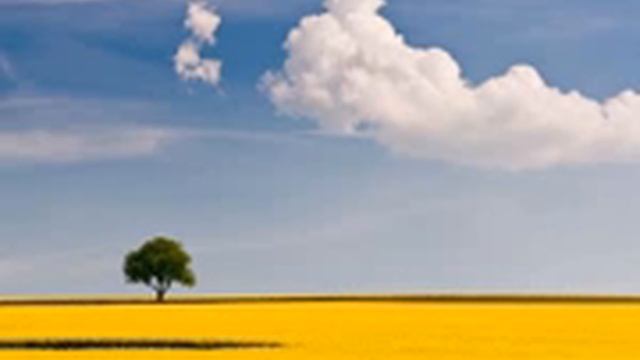 Пётр Климов 