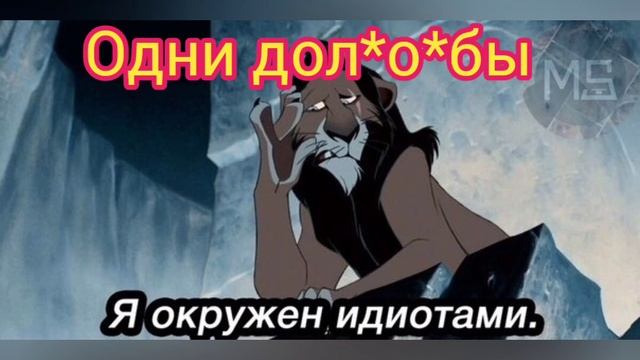 народная мудрость