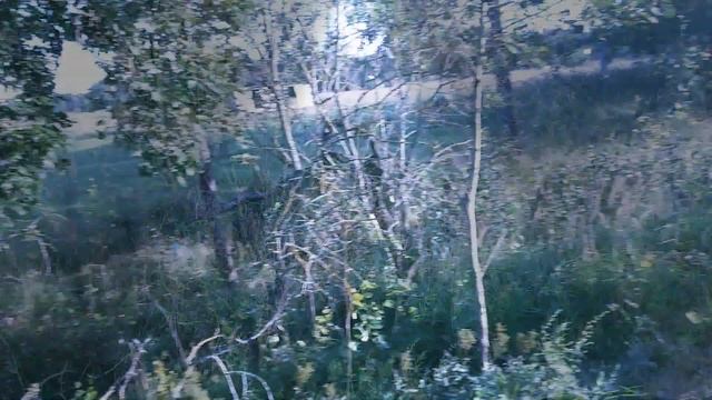 20 декабря 2018 г. смотреть онлайн