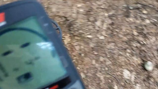 Minelab Equinox 600 Vs 800, разные прошивки. (Часть 2).