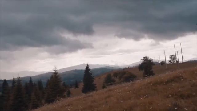 AVALON EXTREME DRIVE - це може бути романтично