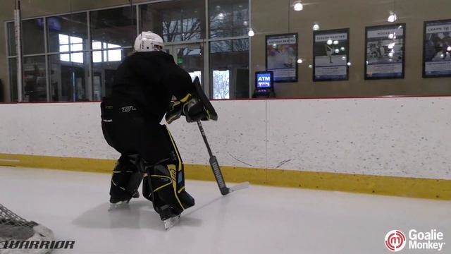 Warrior Ritual M1 Pro+ Goalie Stick смотреть онлайн