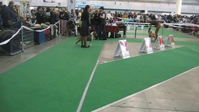 Изображение 057 смотреть онлайн