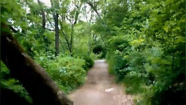 Ливадия - Кореиз тропами #shots смотреть онлайн