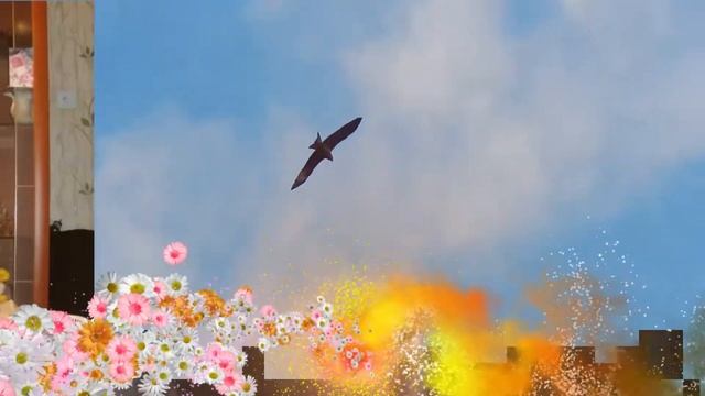 Поздравление с Днем рождения смотреть онлайн