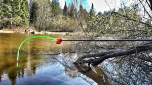 СОРОГА ПРЁТ НА БОКОВОЙ КИВОК