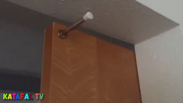 Приколы COUBE февраль 2019 5 минут СМЕХА до слез. видео приколы 2019 PSY смотреть онлайн