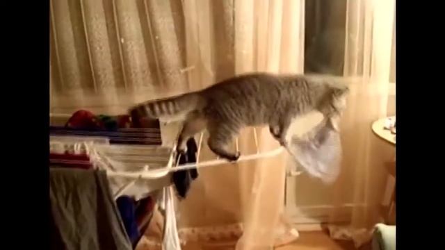 Лучшие Приколы подборка приколов Март 2016 Смешное Видео Корпорация Зла смотреть онлайн