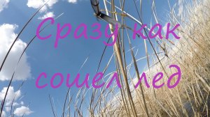 Сразу как сошел лед