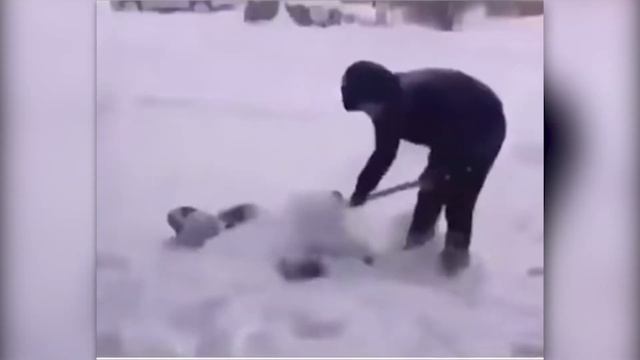 [FMC-3] Кот Разрушитель Ёлок, Донат Учителю, Пингвин в Стрессе || Fun Meme Compilation #3 #memes смотреть онлайн