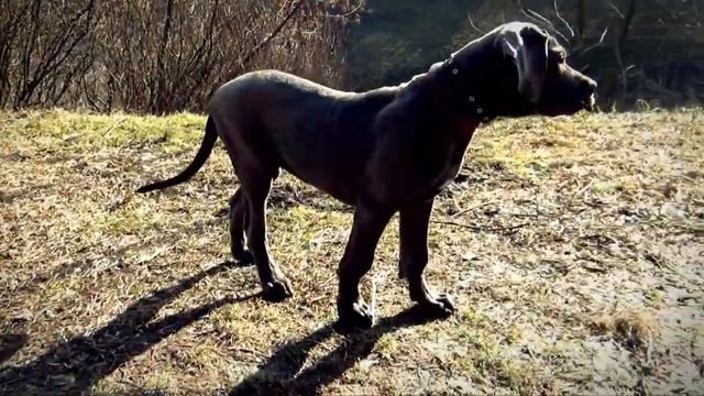 Выпуск №2: Крымская ВЕСНА смотреть онлайн