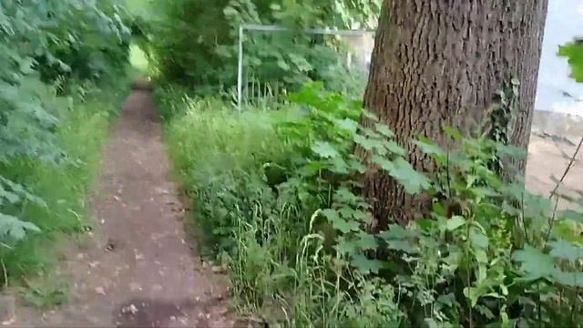 Музыкальный фестиваль. смотреть онлайн