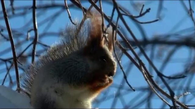 В Петропавловске отменили движение маршрута №11 смотреть онлайн