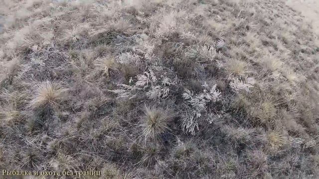 ОХОТА на ЗАЙЦА после ОБЕДА чуть КОШКУ не ПРИСТРЕЛИЛ смотреть онлайн