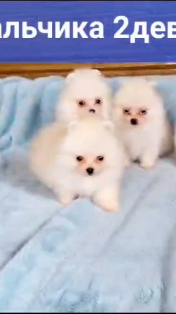 29 февраля 2024 г.