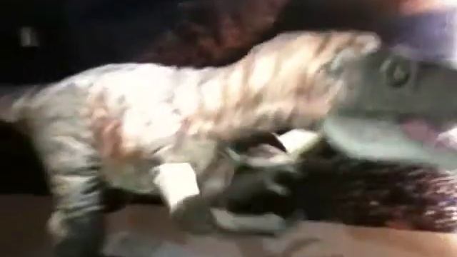 2010世界恐龍大展 Playing with Dinosaurs (Taiwan, Тайвань) 1 смотреть онлайн