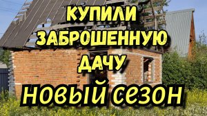 Купили заброшенную дачу