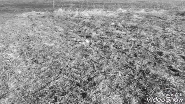 Ирка Пузова - Люди не верили ОФИЦИАЛЬНОЕ ВИДЕО БУЗОВА НЕТ, ТОЛЬКО ПУЗОВА