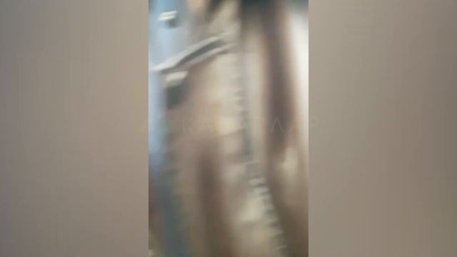 Садыр Жапаров кудаларына суусар тебетей кийгизип жаткан видеосу смотреть онлайн