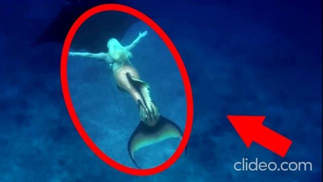 страшные истории реальные смотреть онлайн