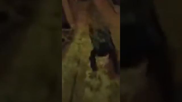 я иду в школу я тупой школьник я иду в школу 10 минут и 1 секунда смотреть онлайн