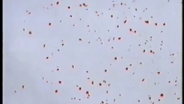 "ШУСТОВ" с Екатериной Потловой смотреть онлайн