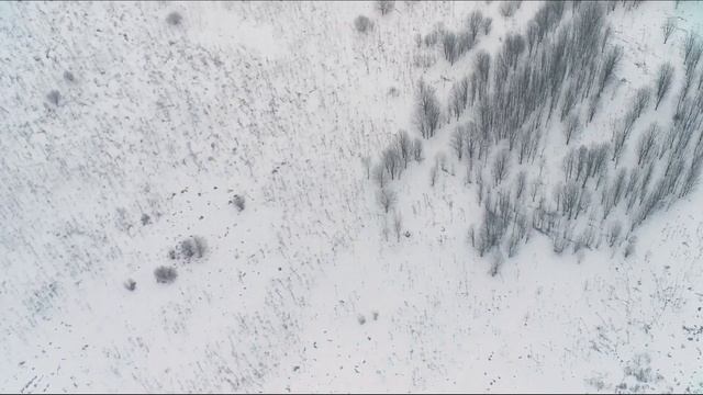 д Новосергиевка, земельный участок смотреть онлайн