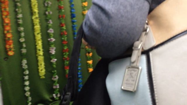 выставка тропических бабочек. Тюмень. Часть 2.