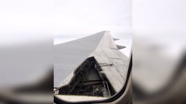 ЛЮТЫЕ РУКОЖОПЫ 99 УРОВНЯ. Короче говоря, И ТАК СОЙДЕТ! смотреть онлайн