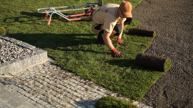 Дизайн без названия (16) смотреть онлайн