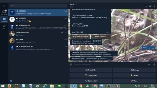 Полная инструкция как пользоваться ботом Wordlex смотреть онлайн
