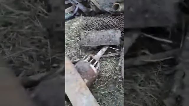 Злой начальник и смешной чуваш смотреть онлайн