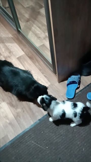 Первое знакомство🤗❤️❤️❤️