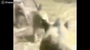 Мемы-Вставки для Монтажа видео