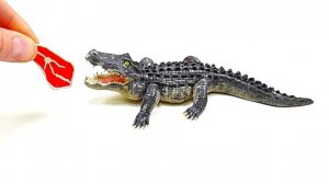 АЛЛИГАТОР Лепим Вместе из Пластилина