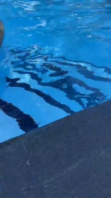 26 февраля 2020 - отель Novela Resort Muine смотреть онлайн