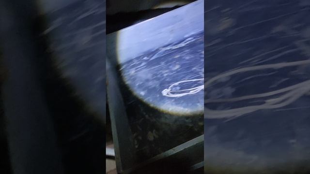 Поездка на DITRACK, на охоту. смотреть онлайн