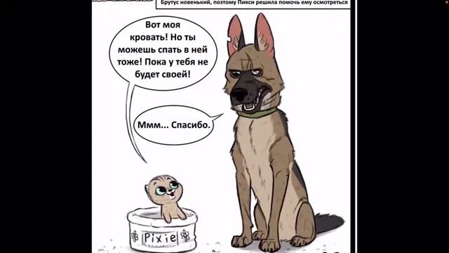 Пикси и брут комикс начало смотреть онлайн