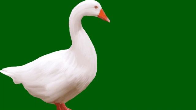 гусь на зелёном фоне под песню хапи хапи хапи смотреть онлайн